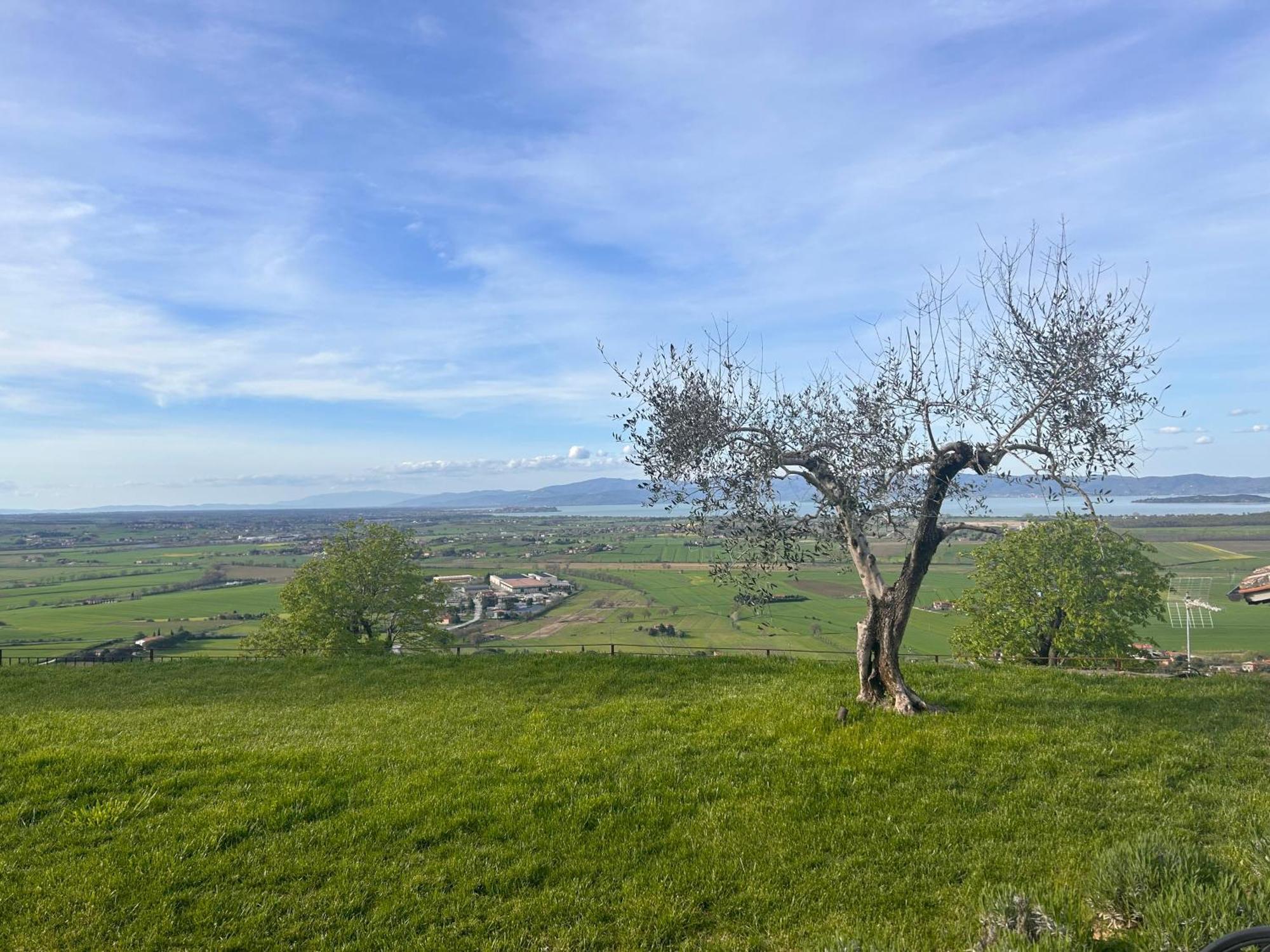 Boutique Hotel Masolino Panicale Buitenkant foto